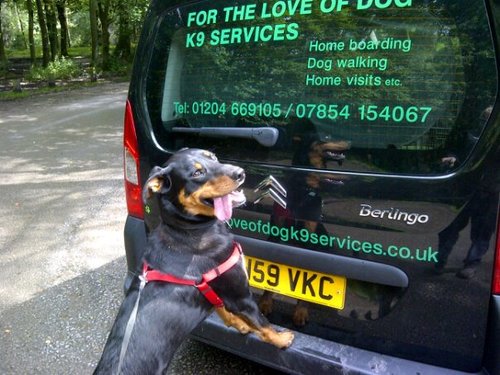 For the Love of Dog K9 Services is a small business ran from home, as an alternative to boarding kennels.
