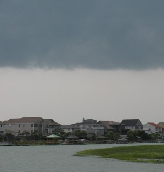 alicialsummers's profile picture. still searching