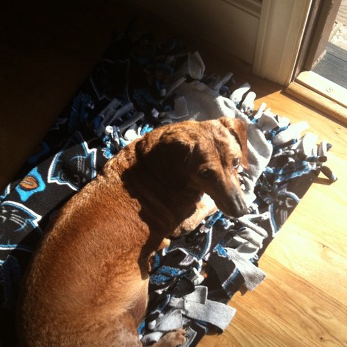 ppragano's profile picture. Wife and mom to 2 beautiful boys.  I love watching my boys play baseball & football. My world revolves around my family.