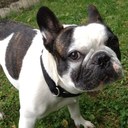 Sara Hermann - @Sarahermyo - Twitter