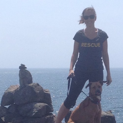 Smplfdhlthylfe's profile picture. tweeting & writing about healthy cooking, recipes, food law & policy.