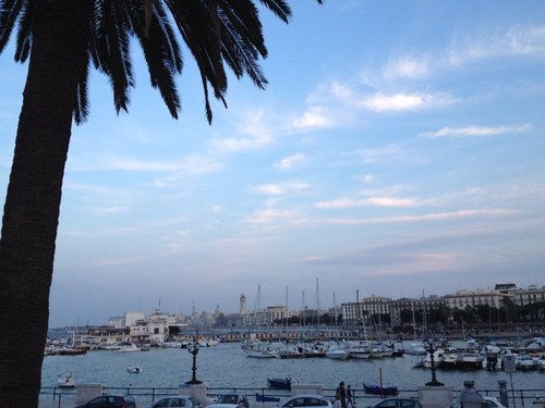 1976Marco1976's profile picture. 