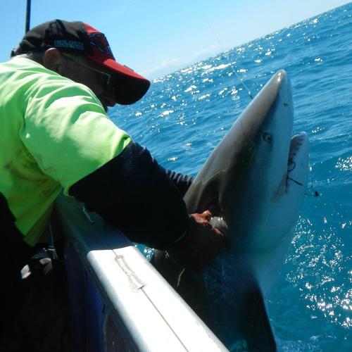 Shutupanfishok's profile picture. 