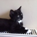 alan mohamed  - @2745Mina - Twitter