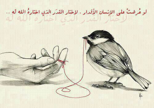 lovm1's profile picture. 