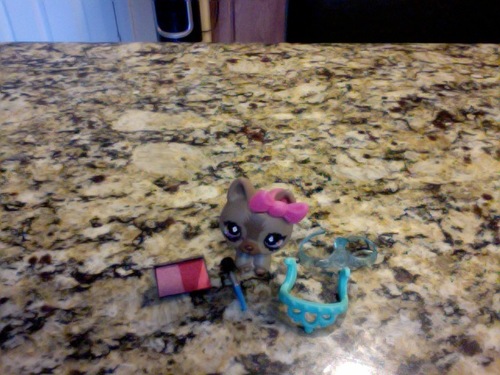 HapPYLPS's profile picture. Hi there! I'm an lps lover, a god truster, a katy cat^^, and....  HUMAN ;)