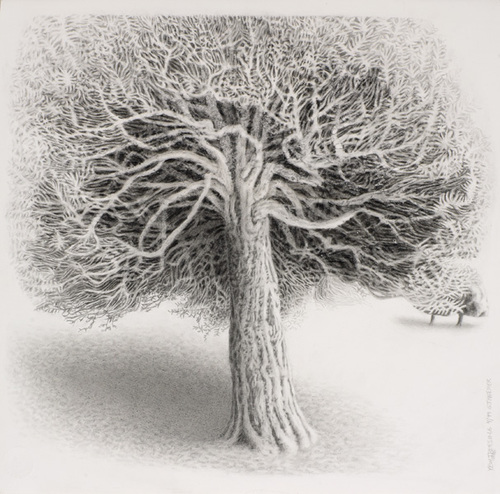 I am an artist working in southeast Iowa. Over the last 25 years. I have been working on a series of drawings of topiary yew trees in Gloucestershire, England.