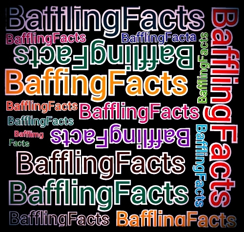 BafflingFacts's profile picture. Twitter account for the baffling facts of the world…