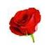 paco loco (@pacoloc31522262) Twitter profile photo