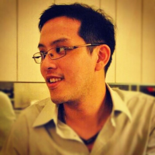 programmer, strategiest and a dreamer
