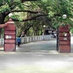 hss.iitm (@hssiitm) Twitter profile photo hss.iitm (@hssiitm) Twitter profile photo