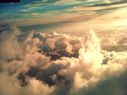 Seems_legit_'s profile picture. Real true facts