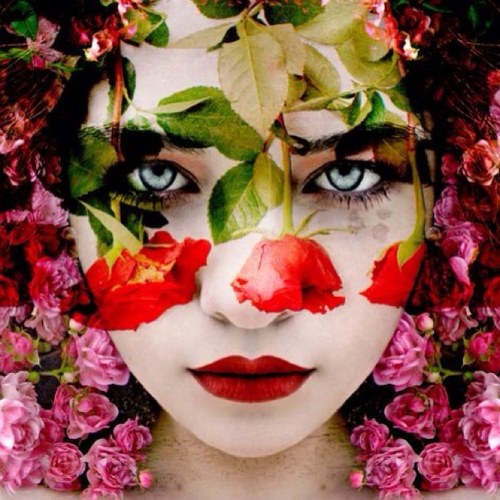 runge3924's profile picture. 