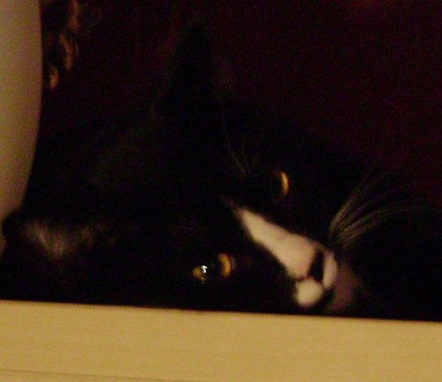 ImChuckBurke's profile picture. I will continue to stare at you until you are VERY uncomfortable