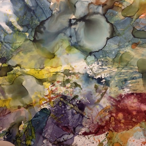 silas_ftw's profile picture. Cofounder http://t.co/baeT1r6beL