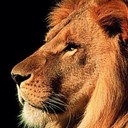 Patrick Lyon - @roaring_lyon - Twitter