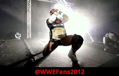 Huge WWE Fan. Fan of CM Punk, Miz, Jericho, AJ, Layla, Dolph, Rock and Brock. Follow me it helps a lot. #TeamCMPunk