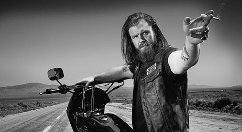 sonsofdogs's profile picture. 