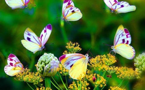 We are a garden centre in Bloemfontein, central South Africa. William does landscaping and Angela runs the nursery, we are passionate about going green!