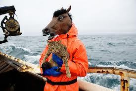 Rider of the HIgh Seas, Freedom Fighter, anti-illuminati Rebel and MTP Warrior!!!!