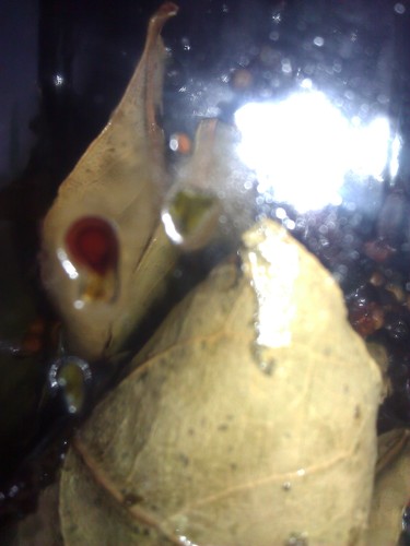 AnarchicAlien's profile picture. Bringing #Humans & #Aliens together.  Crashed on #Earth & stayed 08/07/1947. Love your #Tech & #Science, how retro!