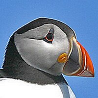 Northumberland Coast (@northumberlandc) 's Twitter Profile