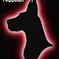 You Dog!! (@youdogvigo) 's Twitter Profile