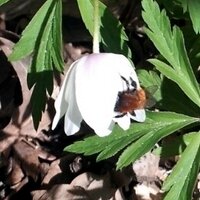 Jamie Gilmour (@jamiedgilmour) 's Twitter Profile Photo