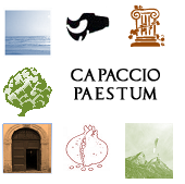 paestumcapaccio's profile picture. Say hi to all Paestum visitors -

Unofficial account