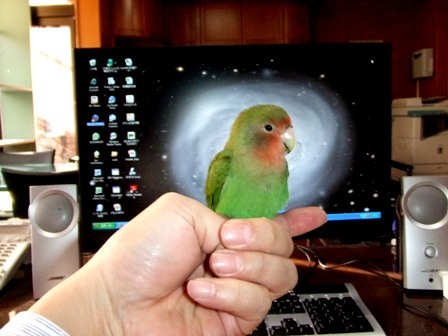 estate1jpn's profile picture. 日本・政治・経済・不動産・投資・経営・保守・美食・サッカー・カープ・雑言　等をキーワードにポツリぽつりと呟きます。
ブログ：https://t.co/20V2pNr7VC