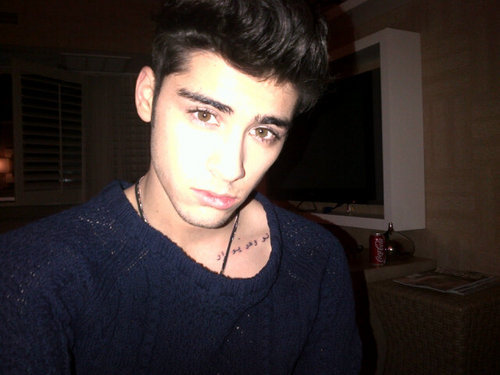 zayjnmalik's profile picture. hello,im Zayn Malik. Enjoying the rollercoster we call life x