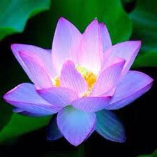 Perfecting the art of selfless indulgence... If you're less interested in me and more interested in maternal wellness, please follow me on @myblossomom