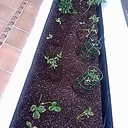 josefina cabrera  - @josefinapalabra - Twitter