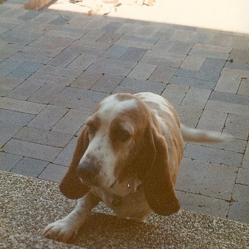 goodguyandy's profile picture. film technician, owns a car with 4 names. Once counted to infinity twice.views are not just mine