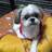 dai_ring's profile image