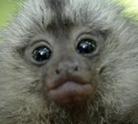 ranline's profile picture. 