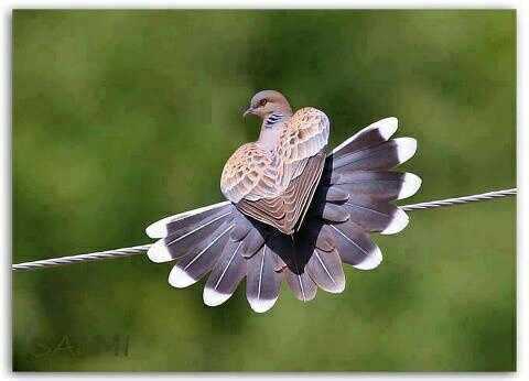 aburyan2's profile picture. سبحان الله وبحمده سبحان الله العظيم

اللهم أعني على ذكرك وشكرك وحسن عبادتك