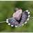 aburyan2's profile image