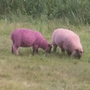 Jason Cropper - @JasonCropper1 - Twitter