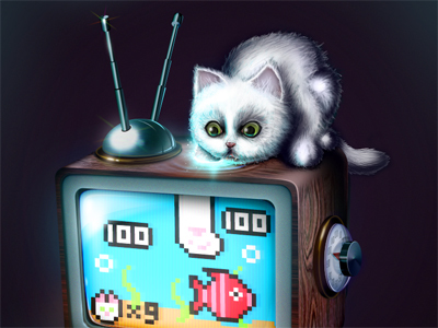 Developer (Web/Desktop/Server), Graphic designer, Entrepreneur