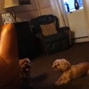 norma mckellar - @NormaMckellar - Twitter