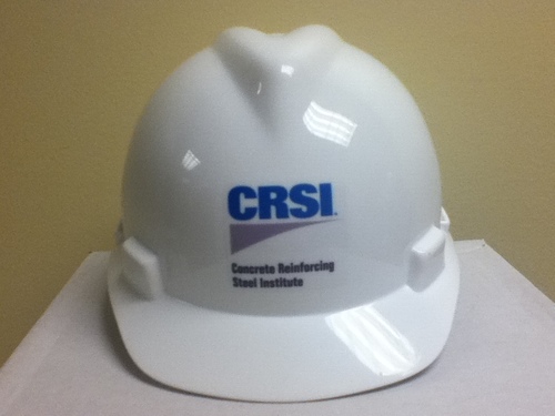 CRSI_tweets Profile Picture