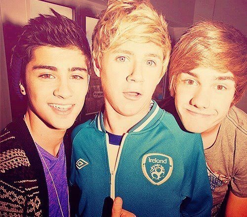 Hello! Im just a casual directioner with a dream to meet 5 beautiful boys. Like them too? We can fangirl together! #TeamFollowBack