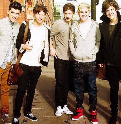 1 directioner que ama muito na moral @onedirection, cenouras, espelhos, gatos, duendes e vou  exterminar se não todas quase todas as colheres do planeta