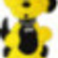 Pamlico Primary (@pamlicoprimary) 's Twitter Profile