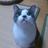 yuu_aslan's profile image