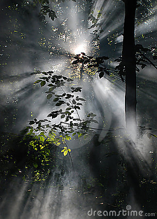 Anto_Lodroman's profile picture. 