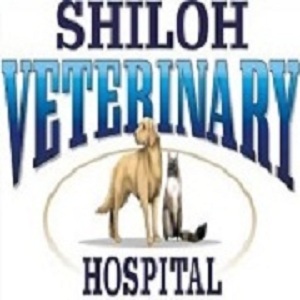 Shiloh Veterinary Hospital is a progressive small animal hospital in York County, PA and has been serving the area for almost 40 years!