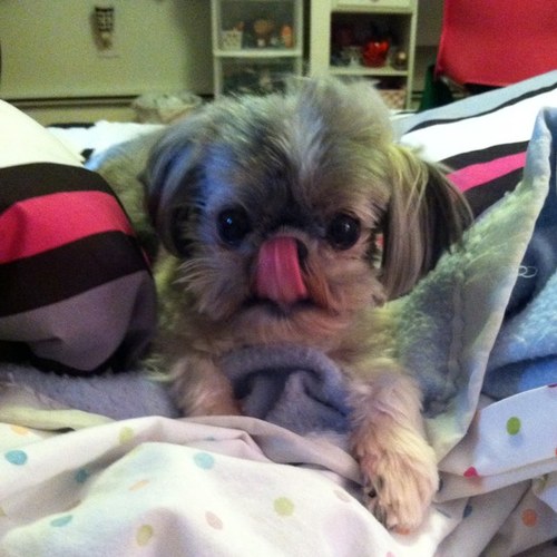 erincoyle25's profile picture. 