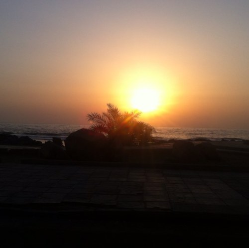 zelimdadaev's profile picture. 